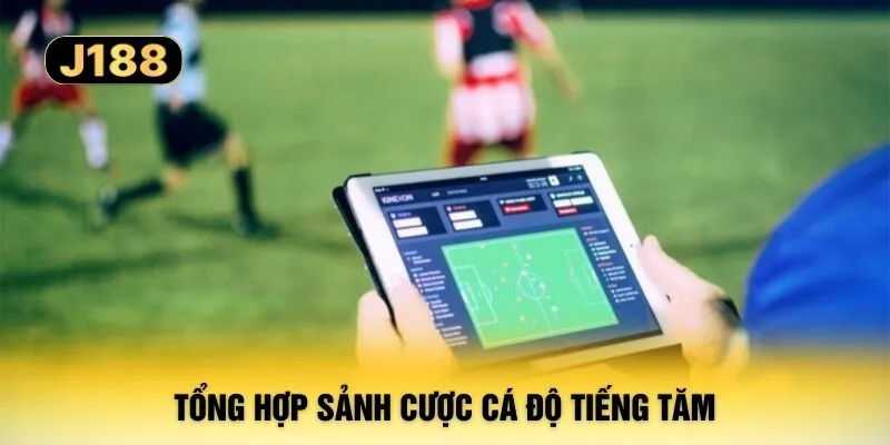 Tổng hợp sảnh cược cá độ tiếng tăm